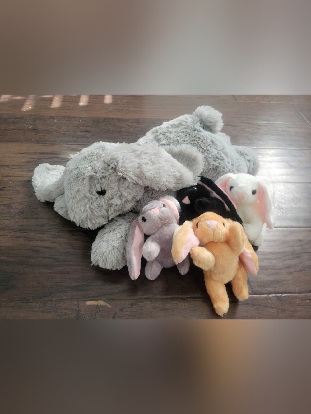 5 Pieces Bunny Stuffed Animal Set & 4 Baby Plush. Zipper To Put Babies In Under.
